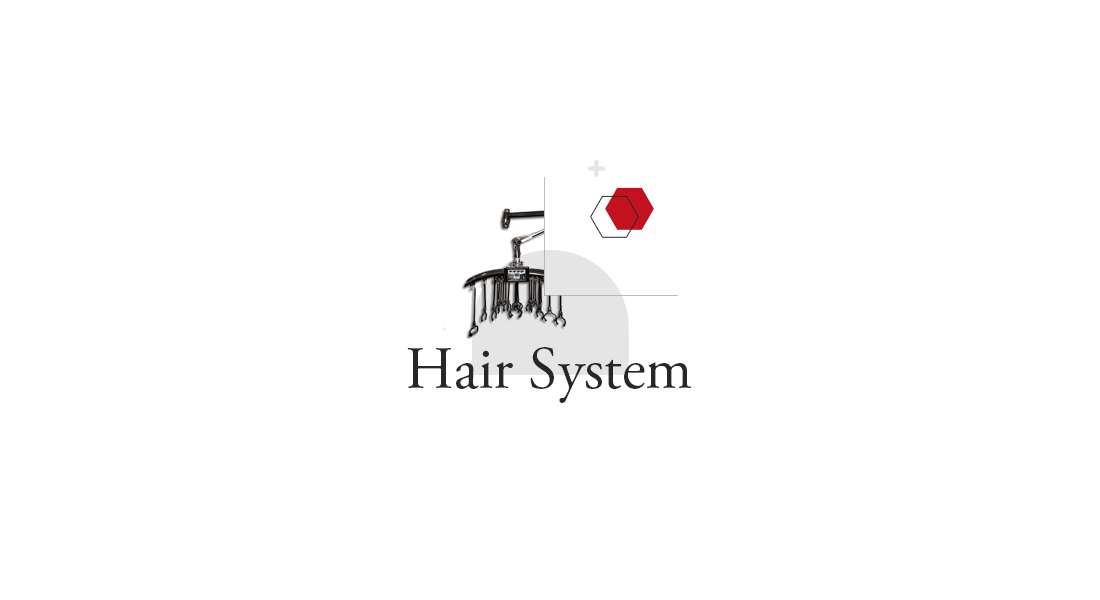 hairsystem